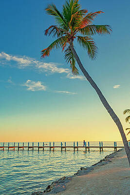 Wall Art featuring the digital art Beach & Pier, Islamorada, Fl #2 by Lumiere