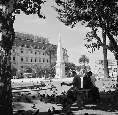 Sunny Day in a Bustling Plaza Wall Art