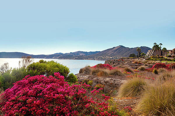 Country Wall Art featuring the digital art California, Pismo Beach, San Luis Obispo County #2 by Joanne Montenegro