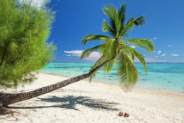 Paradise Wall Art featuring the digital art Cook Islands, Aitutaki, South Seas #2 by Reinhard Schmid
