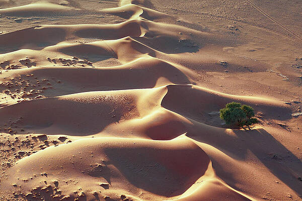 Dunes In The Namib Desert, Namib Naukluft Park, Namibia #2 Print