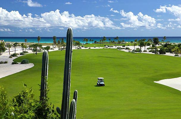 Golf Course Overlooking Caribbean Sea Wall Art