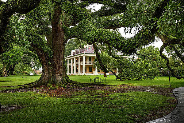U S Wall Art featuring the digital art Houmas House, Darrow, Louisiana #2 by Claudia Uripos
