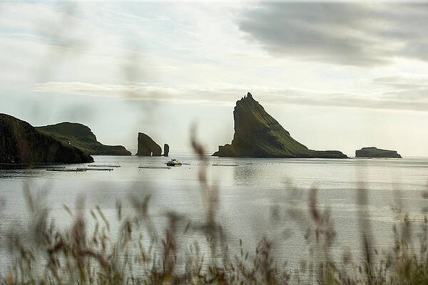 Interesting Green Cliff Formation In The Sea, Faeroe Islands #2 Print