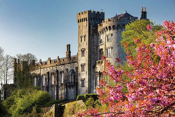 Ireland Wall Art featuring the digital art Ireland, Kilkenny, Kilkenny Castle #2 by Massimo Ripani