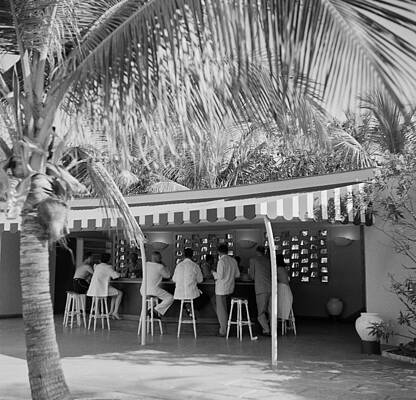 Tropical Outdoor Bar Gathering Wall Art