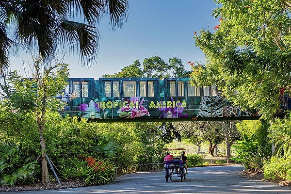 Wall Art featuring the digital art Monorail, Miami Zoo, Florida #2 by Lumiere