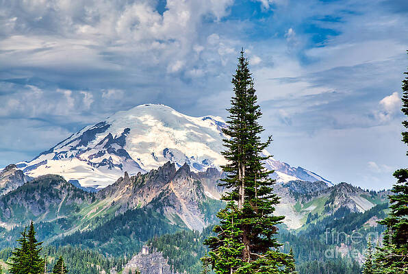 Summer Photograph - Mt. Rainier In Summer #2 by Bruce Block