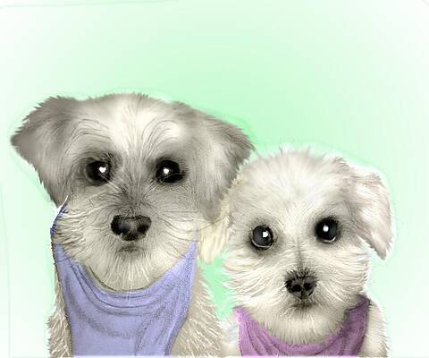 Mixed Media - New Upload #3 by Pamela Calhoun