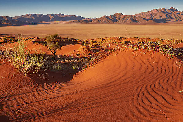 Red Dunes In The Namib Rand Nature Reserve, Namib Naukluft Park, Namibia #2 Print