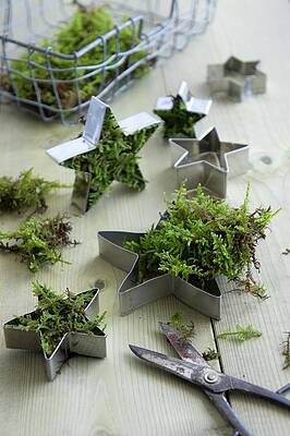 Star-shaped Cookie Cutters Filled With Moss #2 Print