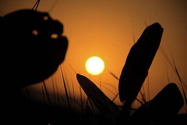 Moody Wall Art featuring the photograph Sunset On Caribbean #3 by Robert Grac