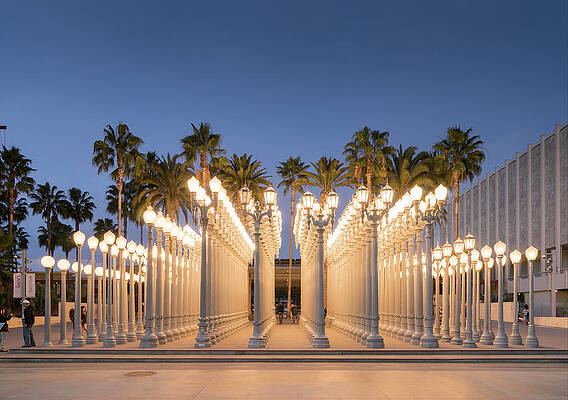 Urban Light at LACMA Wall Art