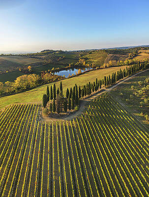 Wall Art featuring the digital art Vineyards, Chianti, Tuscany, Italy #2 by Guido Cozzi