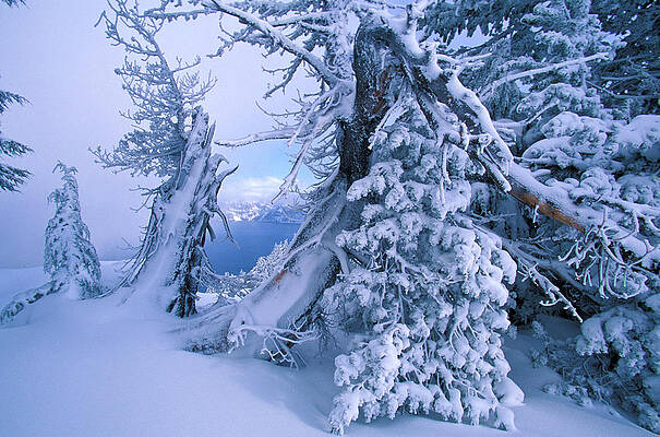 Wall Art featuring the digital art Winter Landscape, Crater Lake Np, Or #2 by Heeb Photos