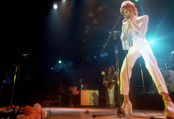 David Bowie Live Concert Performance Wall Art