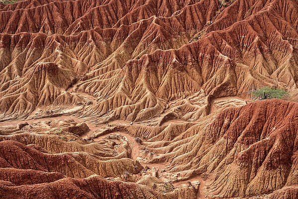 Surreal Landscape At Tatacoa Desert Desierto De La Tatacoa, Township Villavieja Nearby Neiva, Departmento Huila, Colombia, Southamerica #21 Print