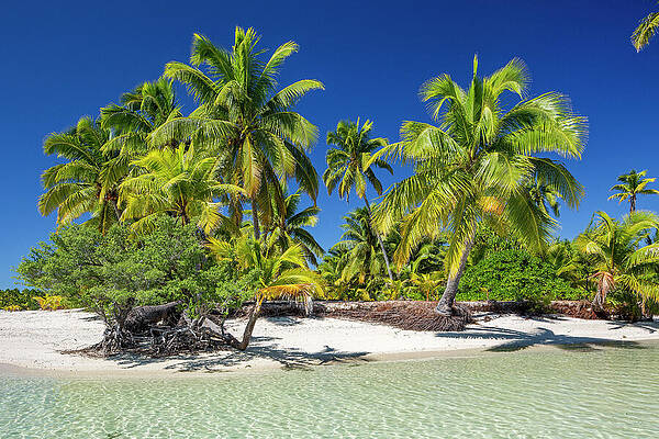 Paradise Wall Art featuring the digital art Cook Islands, Aitutaki, South Seas #22 by Reinhard Schmid