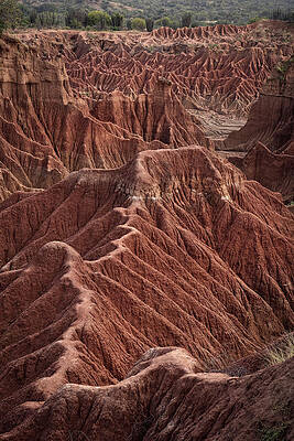 Surreal Landscape At Tatacoa Desert Desierto De La Tatacoa, Township Villavieja Nearby Neiva, Departmento Huila, Colombia, Southamerica #22 Print