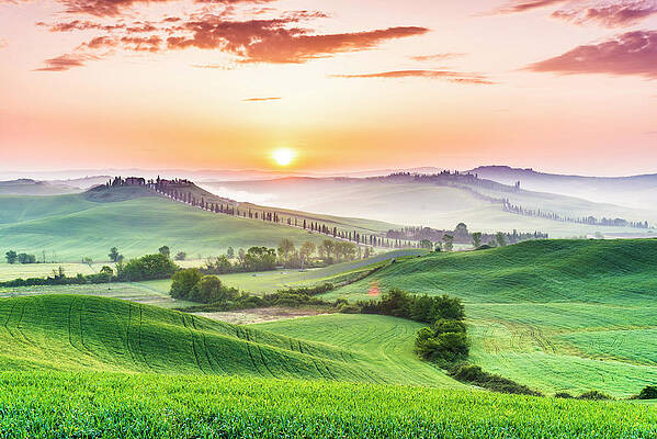 Wall Art featuring the digital art Italy, Tuscany, Siena District, Crete Senesi, Asciano, View Of Crete Senesi #23 by Stefano Coltelli