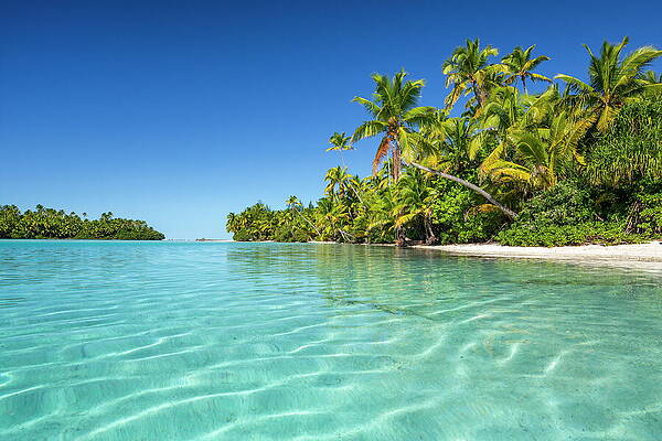 Paradise Wall Art featuring the digital art Cook Islands, Aitutaki, South Seas #3 by Reinhard Schmid
