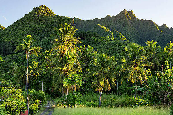 Paradise Wall Art featuring the digital art Cook Islands, Rarotonga, South Seas #3 by Reinhard Schmid