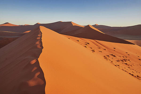 Dunes In The Namib Desert, Namib Naukluft Park, Namibia #3 Print