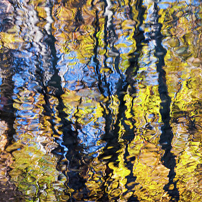 Abstract Wall Art featuring the photograph Fall Colors - Abstract Nature #4 by Shankar Adiseshan