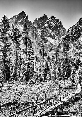 Mountain Photograph - Grand Tetons #3 by Bruce Block