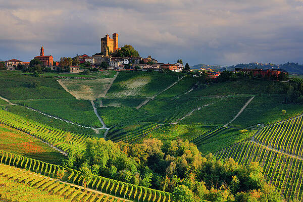 Country Wall Art featuring the digital art Italy, Piedmont, Cuneo District, Strada Del Tartufo Bianco, Colline Del Barolo, Langhe, Serralunga D'alba, View Towards The Village And Its Castle Surrounded By Nebbiolo Da Barolo Vineyards #3 by Riccardo Spila