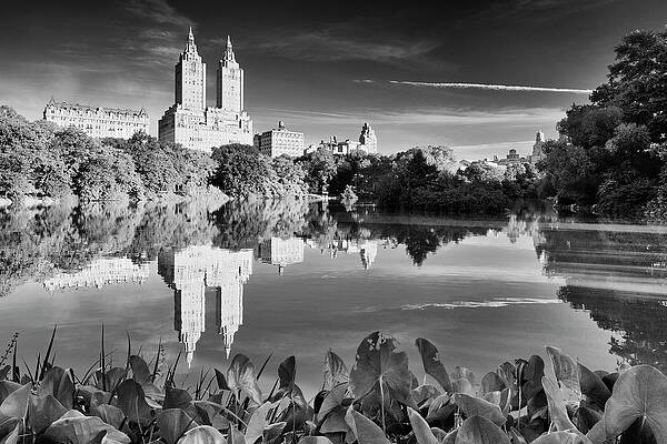 North America Wall Art featuring the digital art Lake In Central Park, Nyc #3 by Riccardo Spila