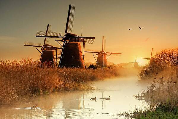 Radiant Wall Art featuring the digital art Netherlands, South Holland, Benelux, Kinderdijk, Kinderdijk Is A Collection Of 19 Authentic Windmills, Which Are Considered A Dutch Icon #3 by Maurizio Rellini