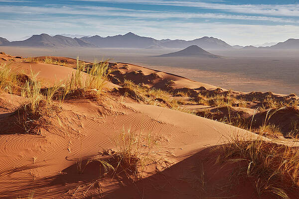 Red Dunes In The Namib Rand Nature Reserve, Namib Naukluft Park, Namibia #3 Print