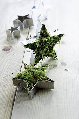 Star-shaped Cookie Cutters Filled With Moss #3 Print