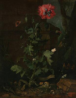 17th Century Painting - Still Life With Poppy, Insects, And Reptiles by Otto Marseus Van Schrieck