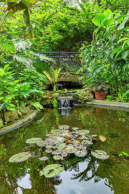 North America Wall Art featuring the digital art Sunken Gardens, St Petersburg, Fl #3 by Lumiere