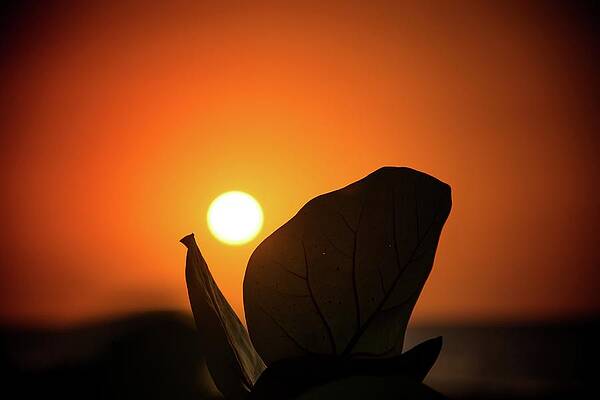Moody Wall Art featuring the photograph Sunset On Caribbean #4 by Robert Grac