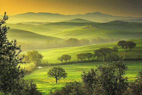 Foggy Wall Art featuring the digital art Tuscany, Awesome Landscape At Dawn #3 by Maurizio Rellini