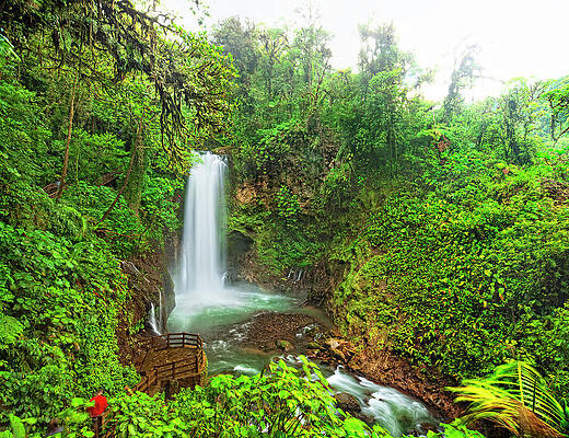 Lush Jungle Waterfall Scene Wall Art