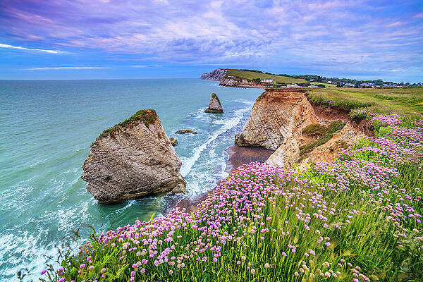 Eurasian Digital Art - Coastline With Wild Flowers #4 by Alessandro Saffo