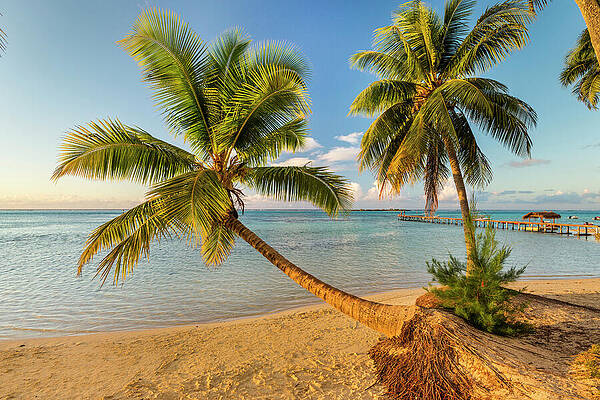 Paradise Wall Art featuring the digital art French Polynesia, Society Islands #4 by Reinhard Schmid