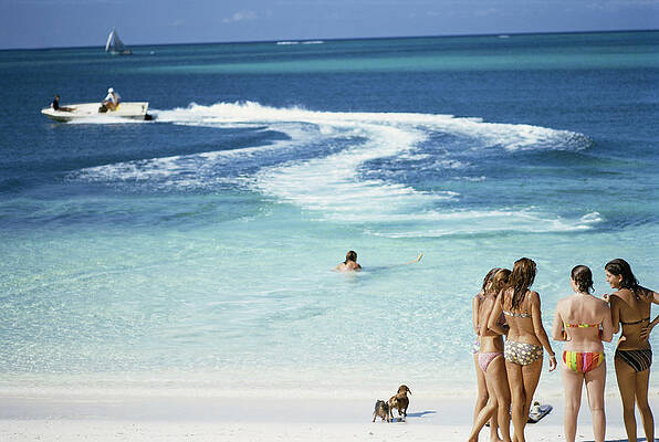 Group Enjoying a Sunny Beach Day Wall Art