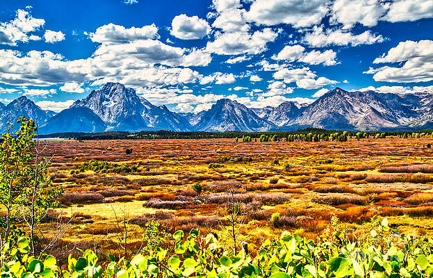 Summer Photograph - Grand Tetons #5 by Bruce Block