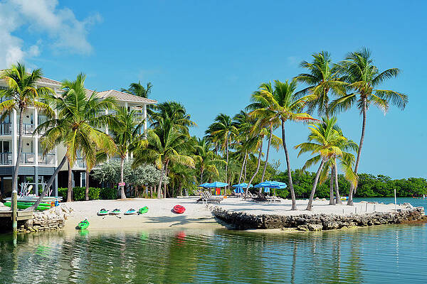 Wall Art featuring the digital art Islamorada, The Keys, Florida #5 by Laura Zeid