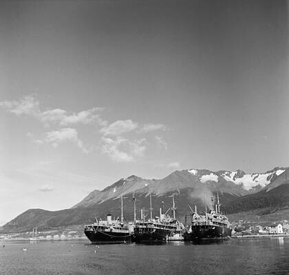 Ships Docked Near Snowy Mountains Wall Art