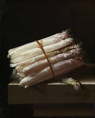 Asparagus Bundle by Adriaen Coorte Painting