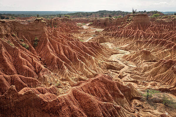 Surreal Landscape At Tatacoa Desert Desierto De La Tatacoa, Township Villavieja Nearby Neiva, Departmento Huila, Colombia, Southamerica #5 Print