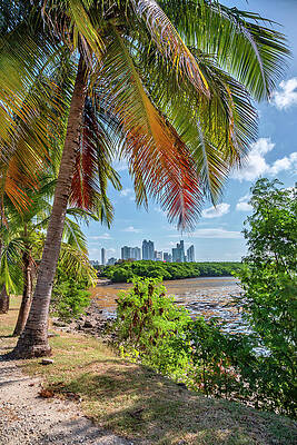 Wall Art featuring the digital art Skyline, Panama City, Panama #6 by Lumiere