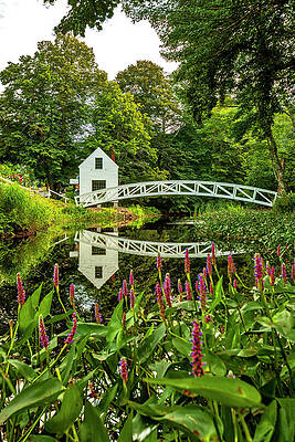Wall Art featuring the digital art Acadia Np, Mount Desert Island, Me #7 by Claudia Uripos