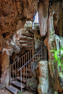 Wall Art featuring the digital art Cayman Crystal Caves & Nature Forest #7 by Angela Pagano